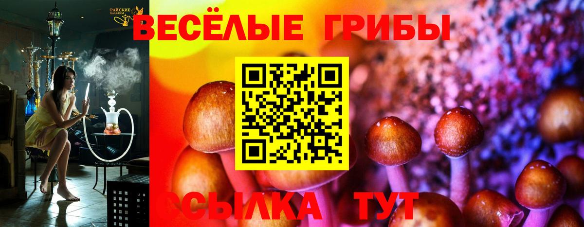 Галлюциногенные грибы GOLDEN TEACHER  Вход с VPN  Дзержинск  закладка  Галлюциногенные грибы Cubensis 
